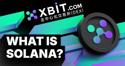 Meme币交易所成资本漩涡 XBIT去中心化交易所以技术风控稳局