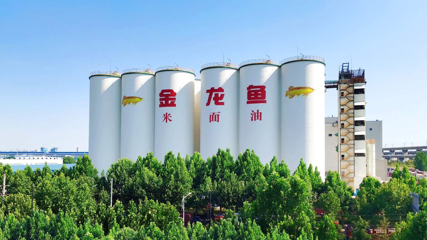 金龙鱼股票(金龙鱼股票行情)