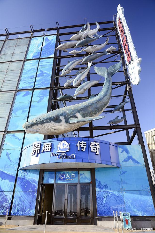 大连圣亚股票(大连圣亚股票最新消息今天)