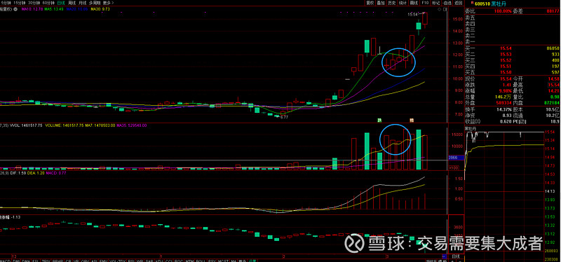 黑牡丹股票(黑牡丹股票今天啥情况)