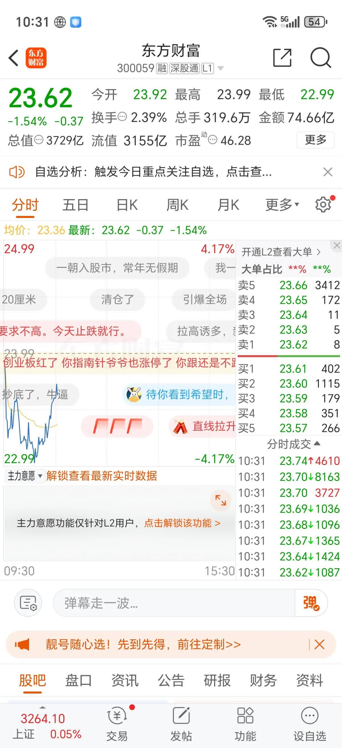 黑牡丹股票(黑牡丹股票代码)