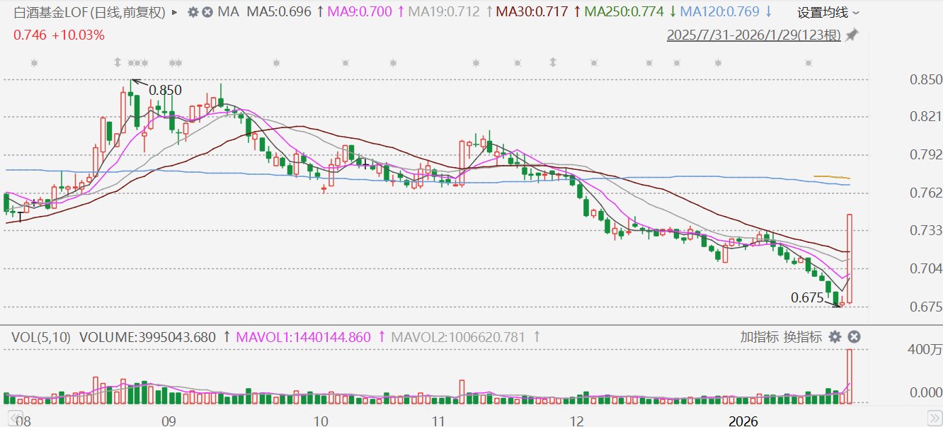 白酒基金(白酒基金为什么一直跌)