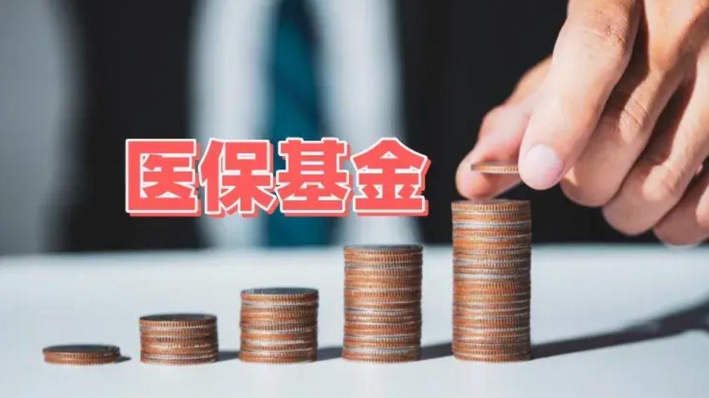 医疗基金(医疗基金是什么意思)